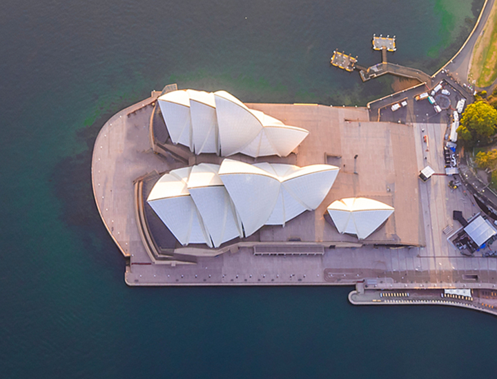 투자유치 및 해외진출 지원